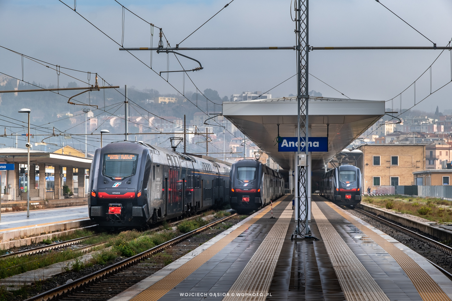 Ancona w czerni