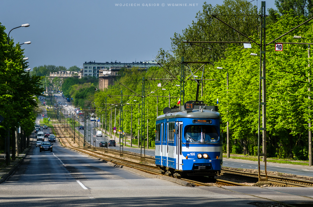 Wiedeniec pod flagą biało-czerwoną