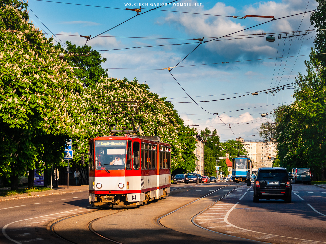 Jeszcze więcej kasztanów