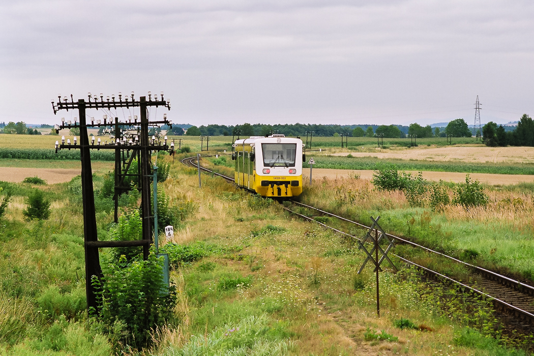 Słupoza