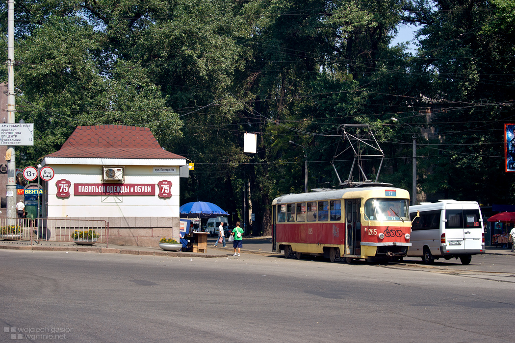 Rzadki okaz