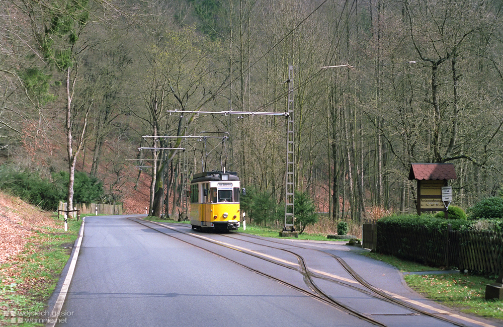 Schneiderweiche (1)