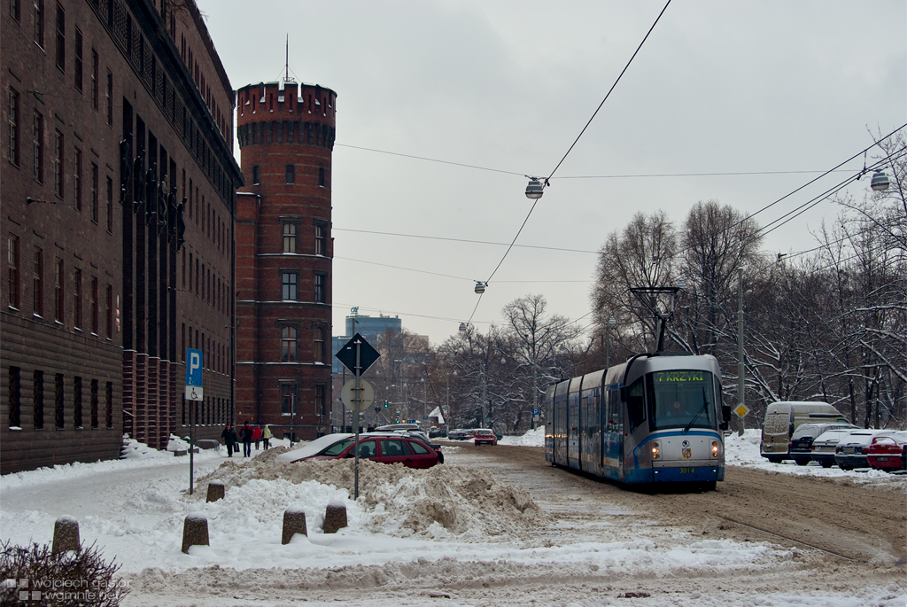 Szkodniczkiem po śniegu