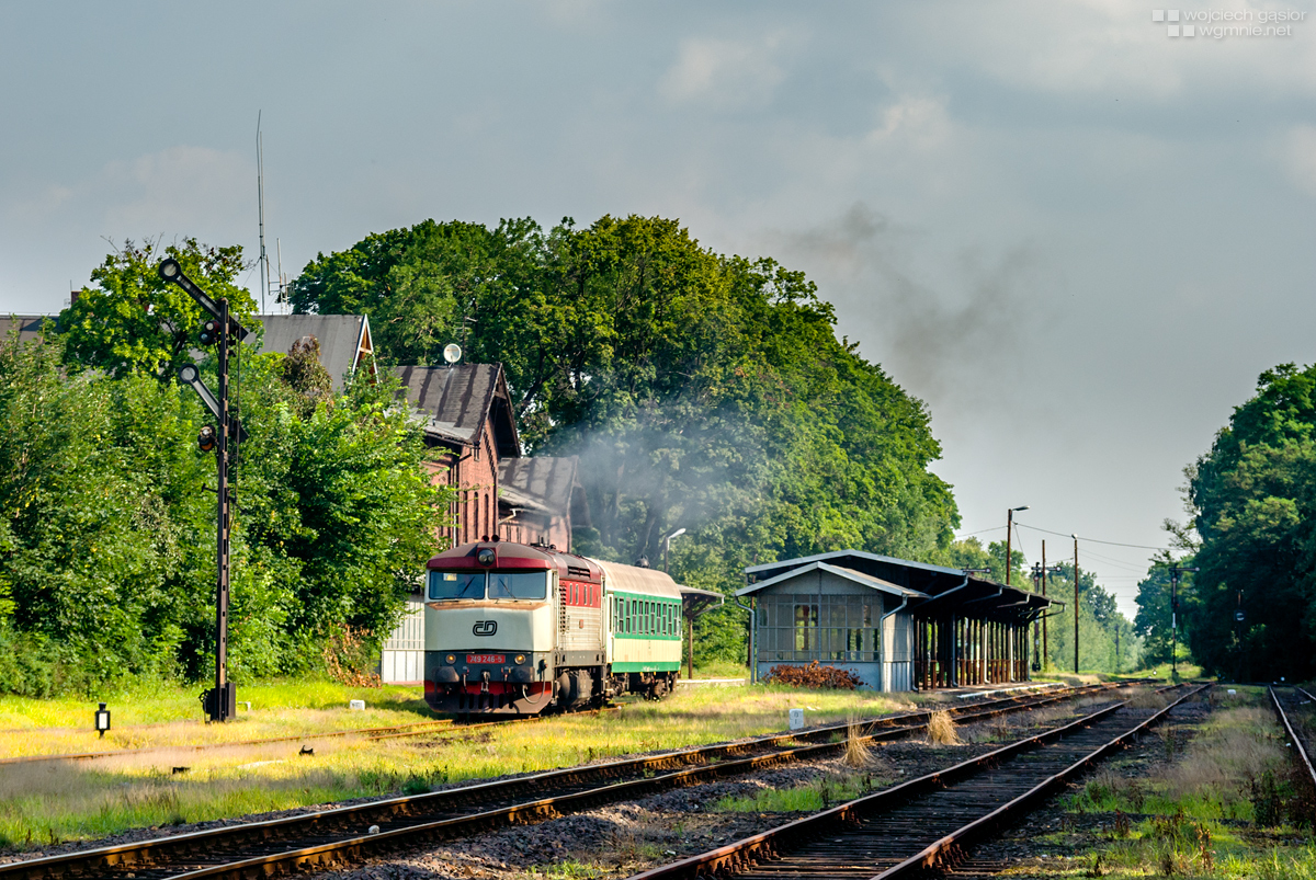 Międzynarodowy wagon