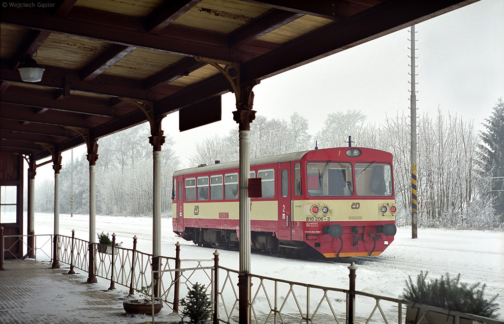 Královec spod wiaty