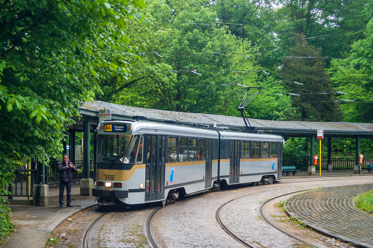 Prosty portret z pętli (2)