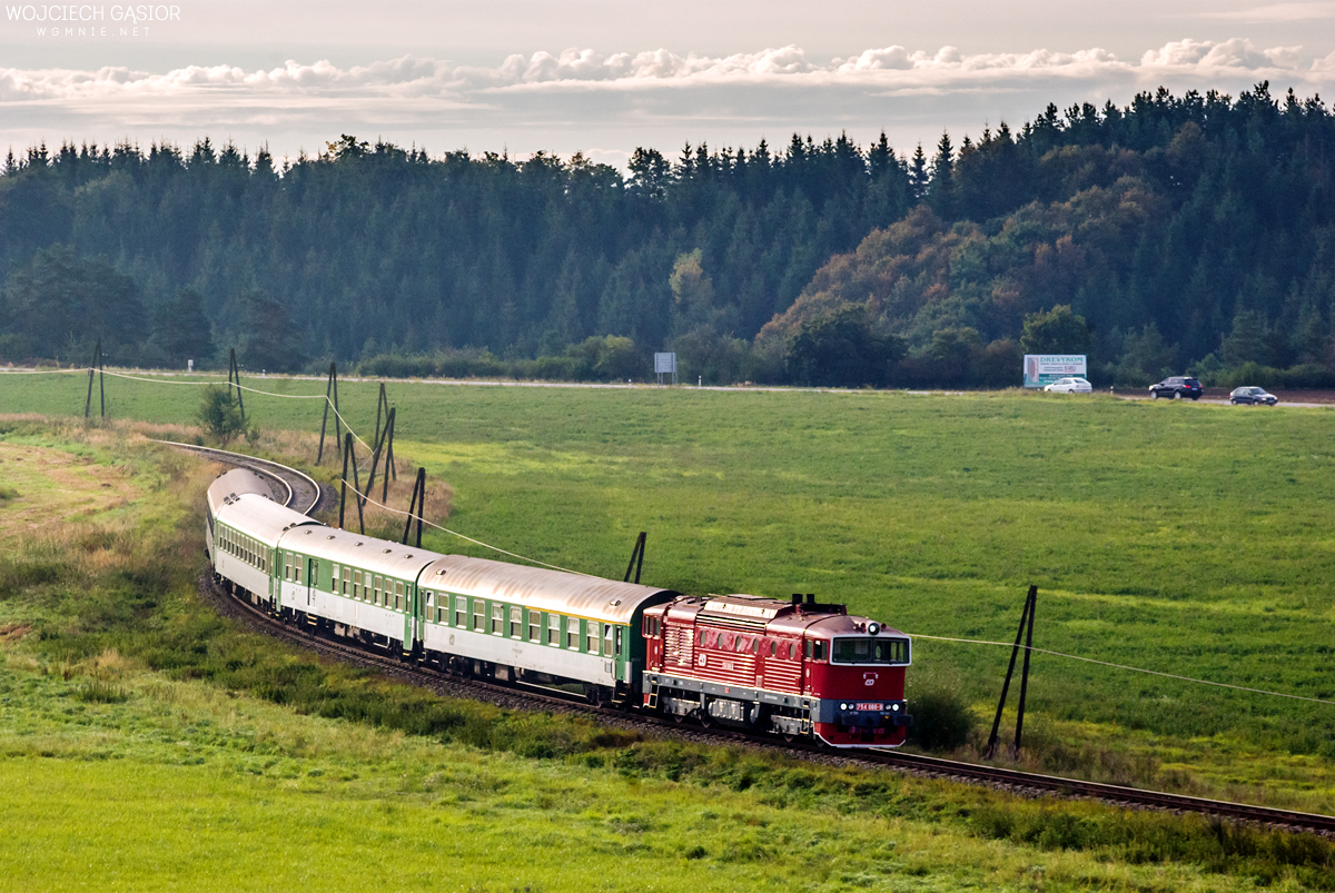 Władysławskie łuki II