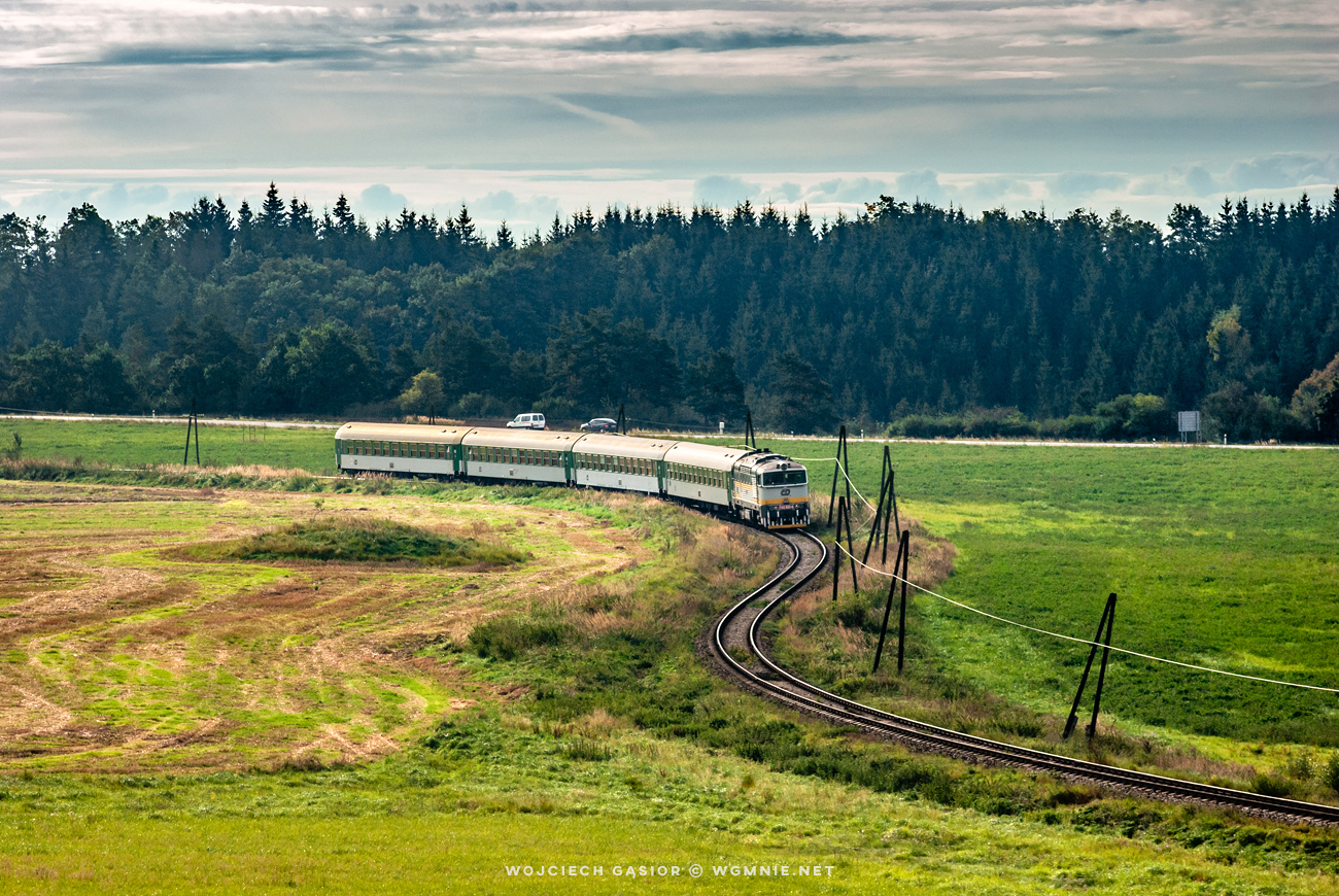 Władysławskie łuki I