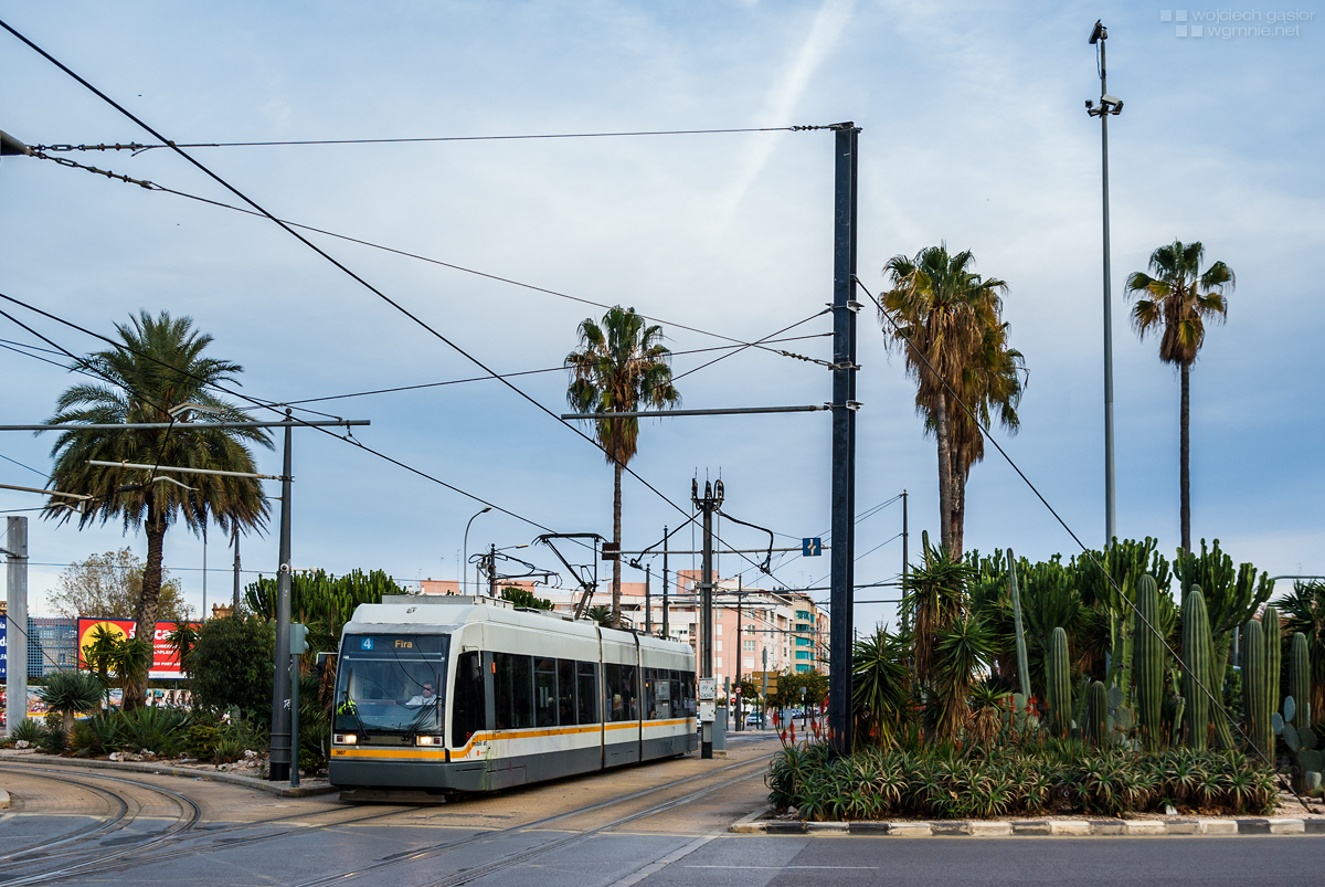Kolczaste też tu mają