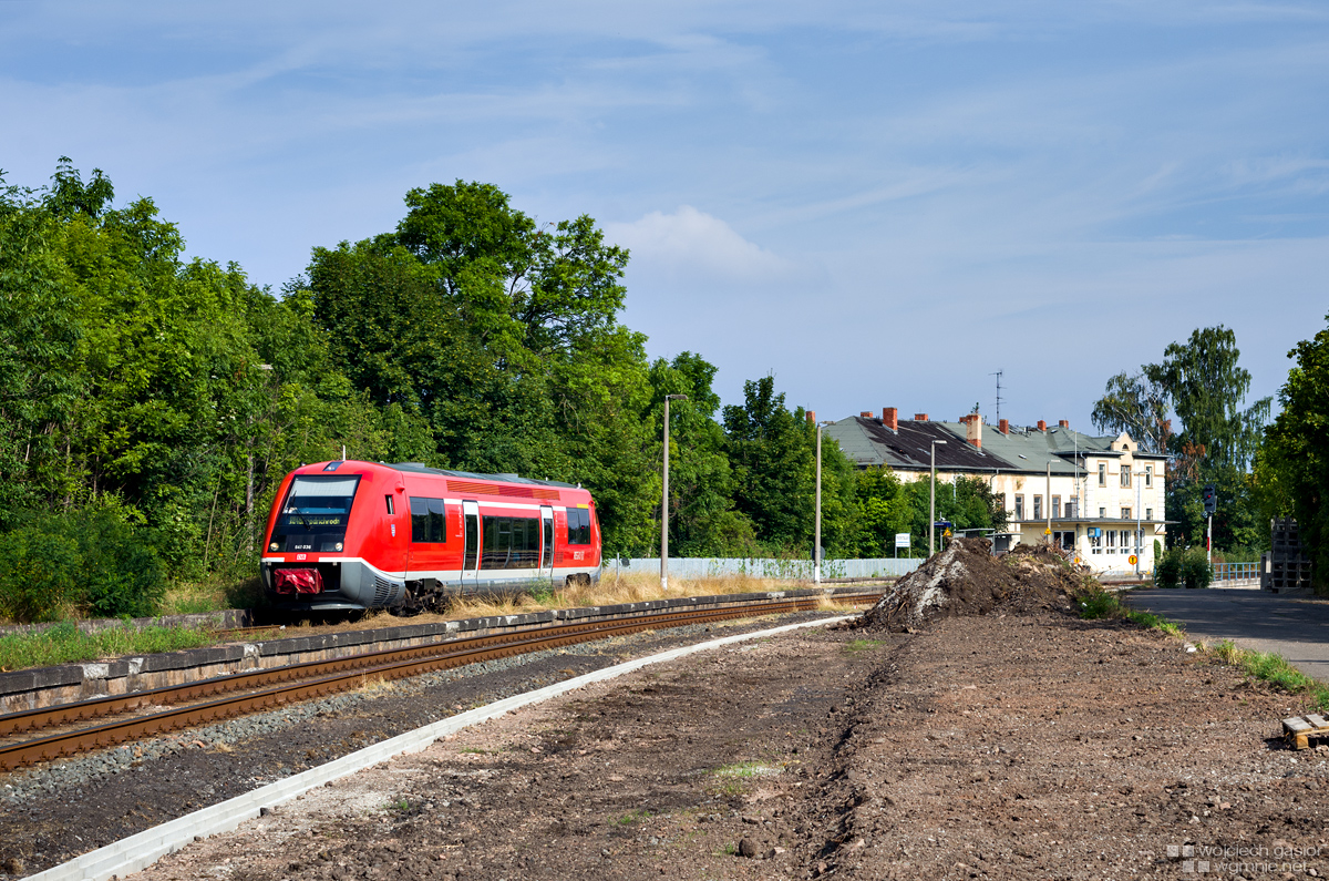 Wieloryb 400 km od morza