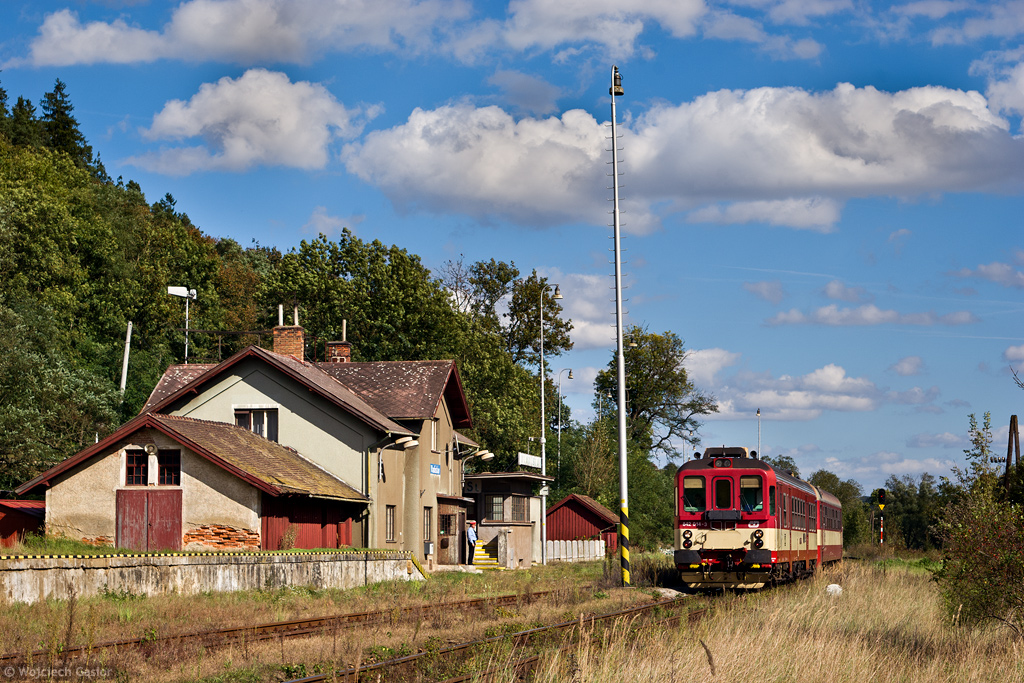 Władysław jest dziewczynką