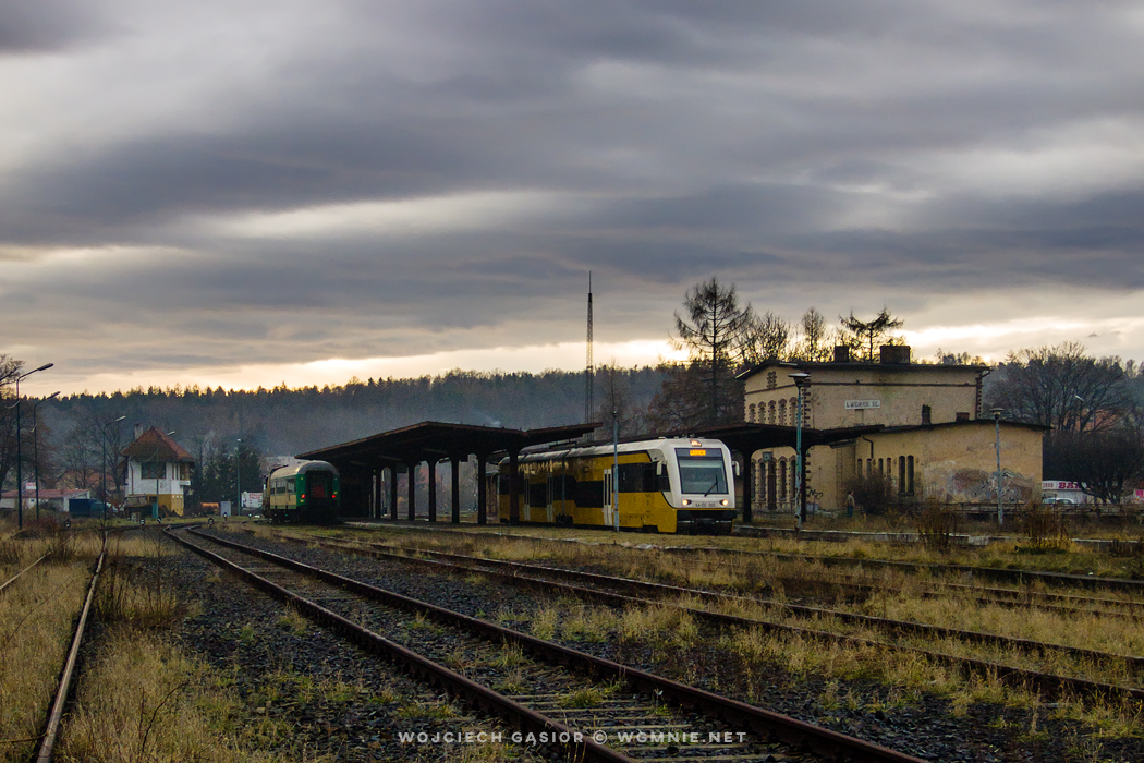Krzyżowanie w Lwówku