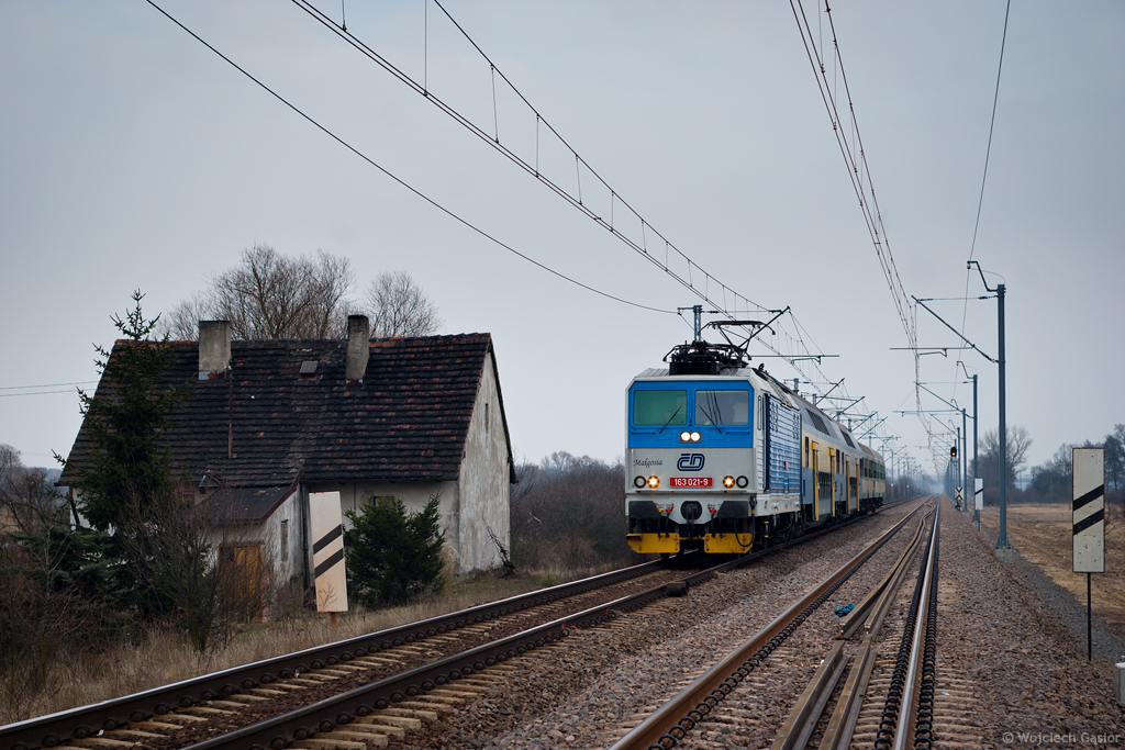 Małgosia na Świniarach