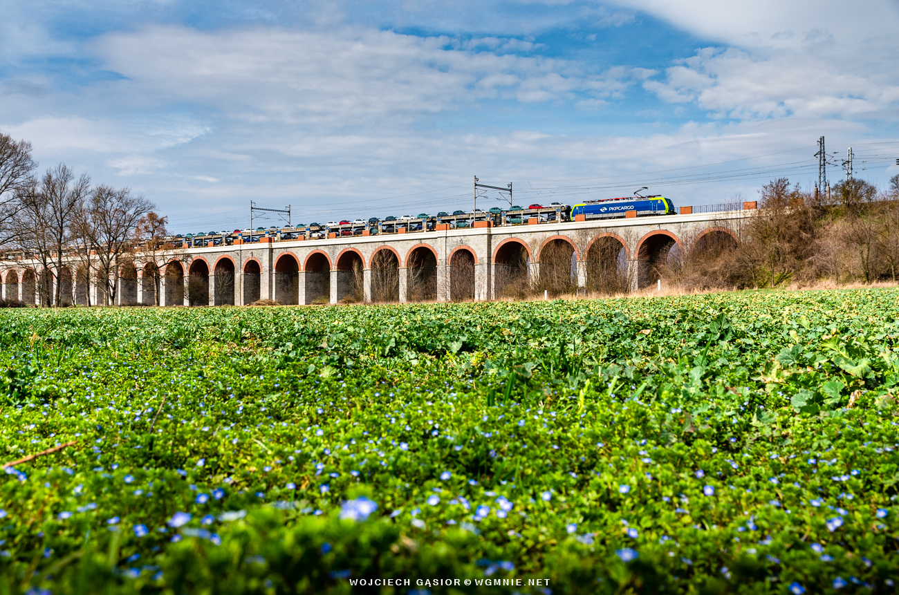 PKP Cargo na Morawach