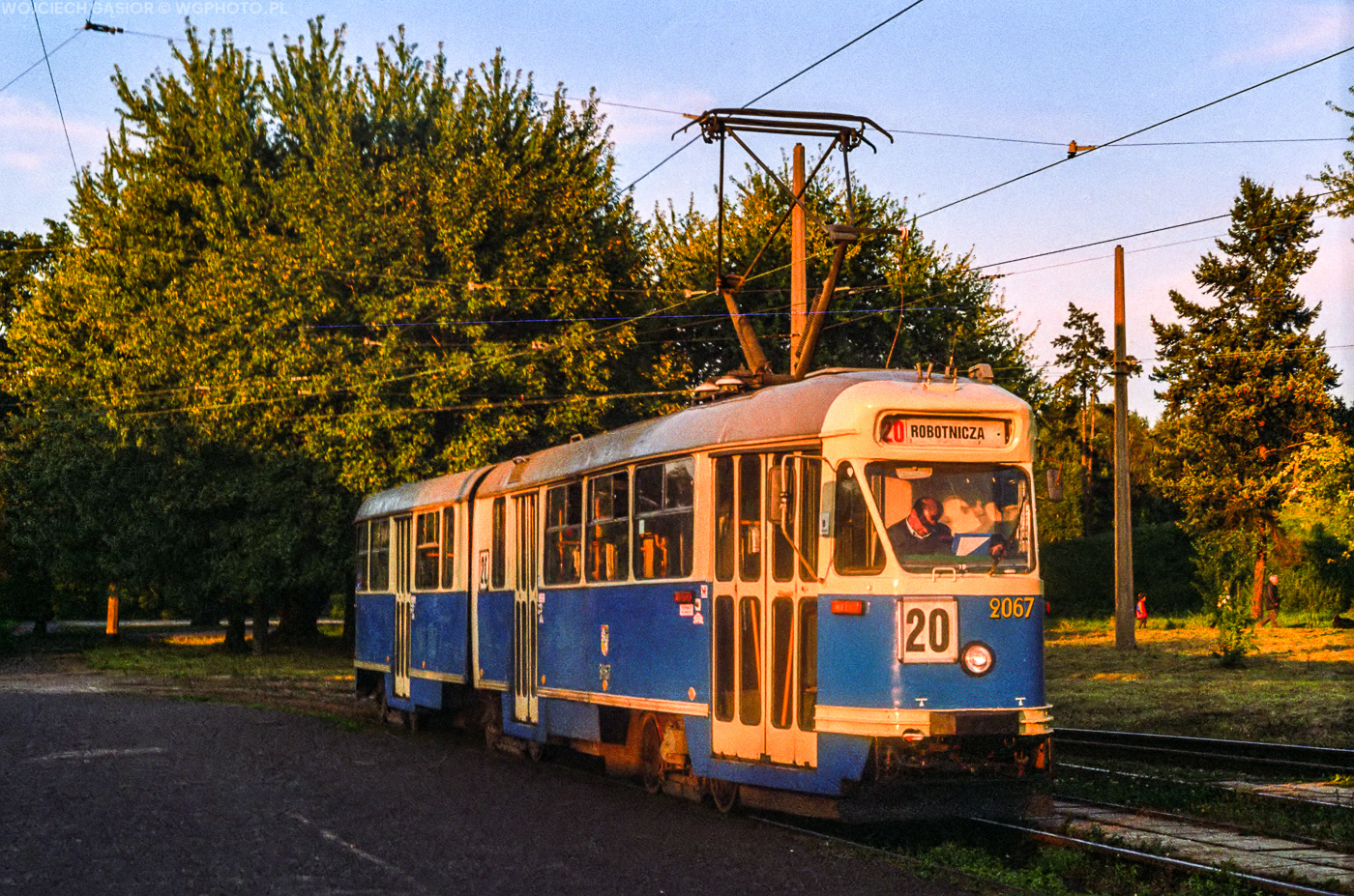 W świetle reflektora