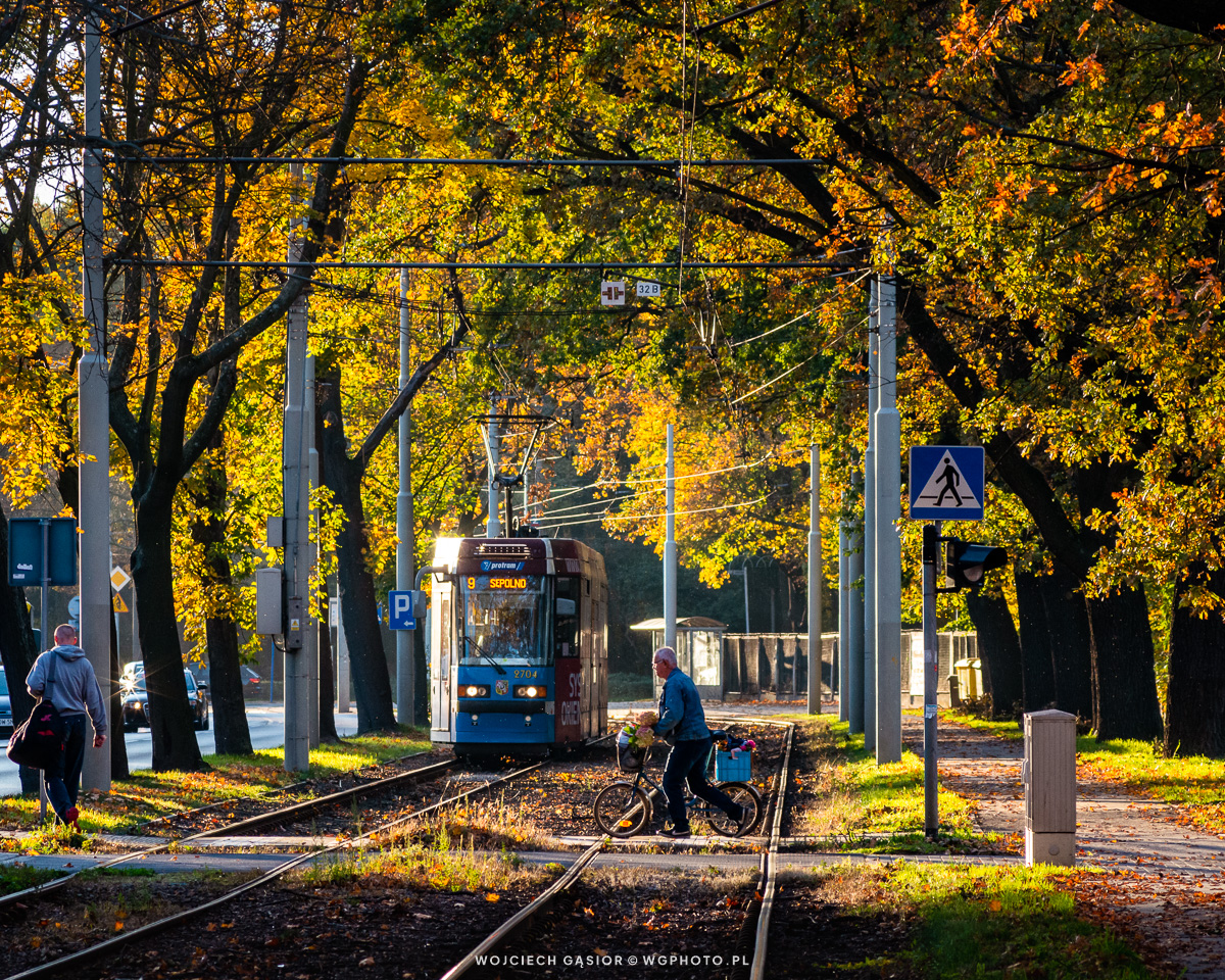 Jesień na Sępolnie