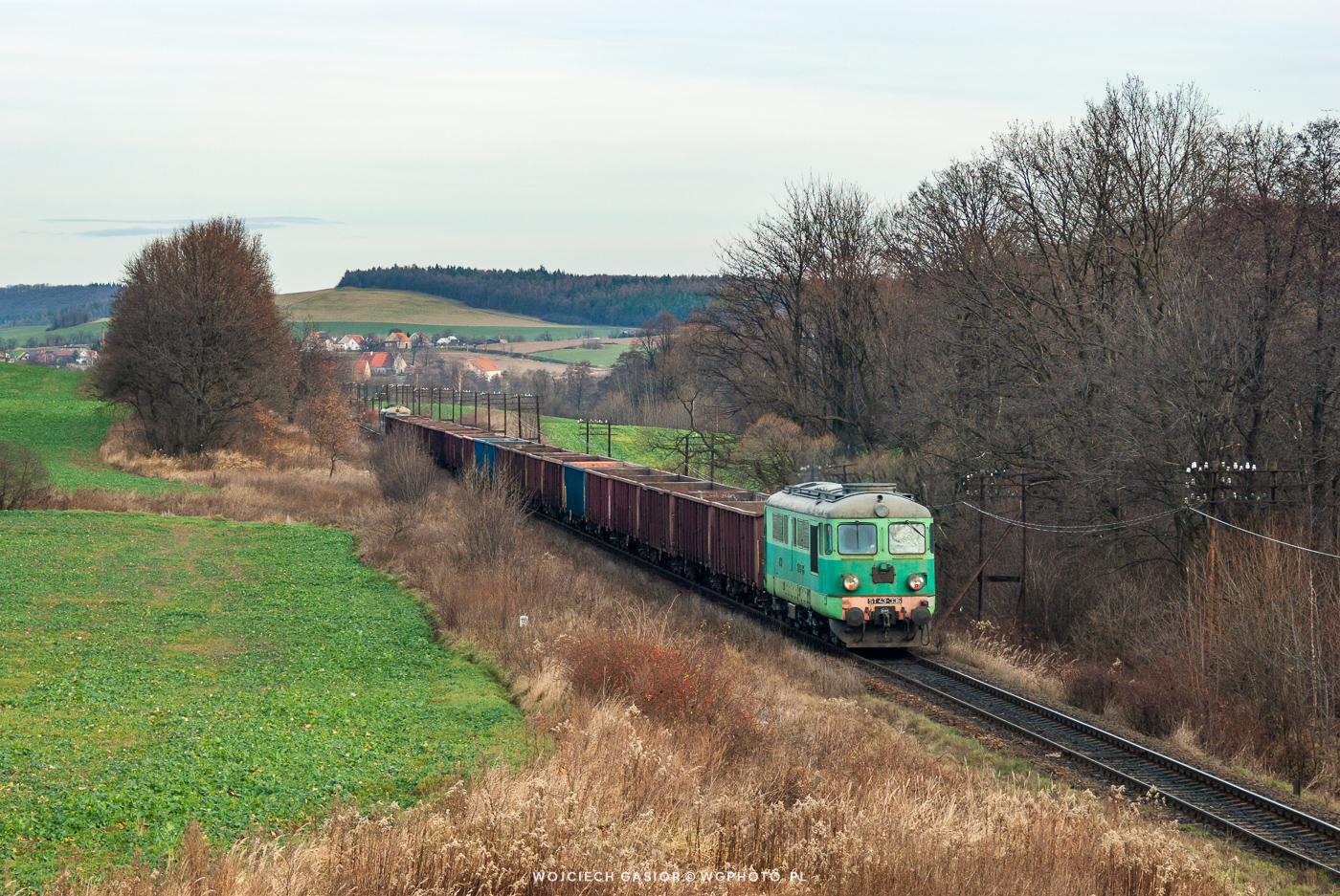Całkiem zielono jak na listopad