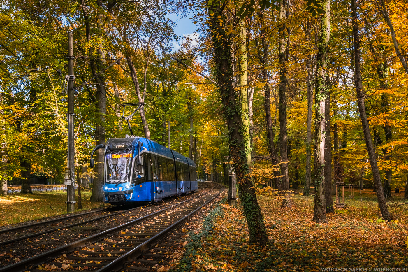 Jesień w Parku Szczytnickim