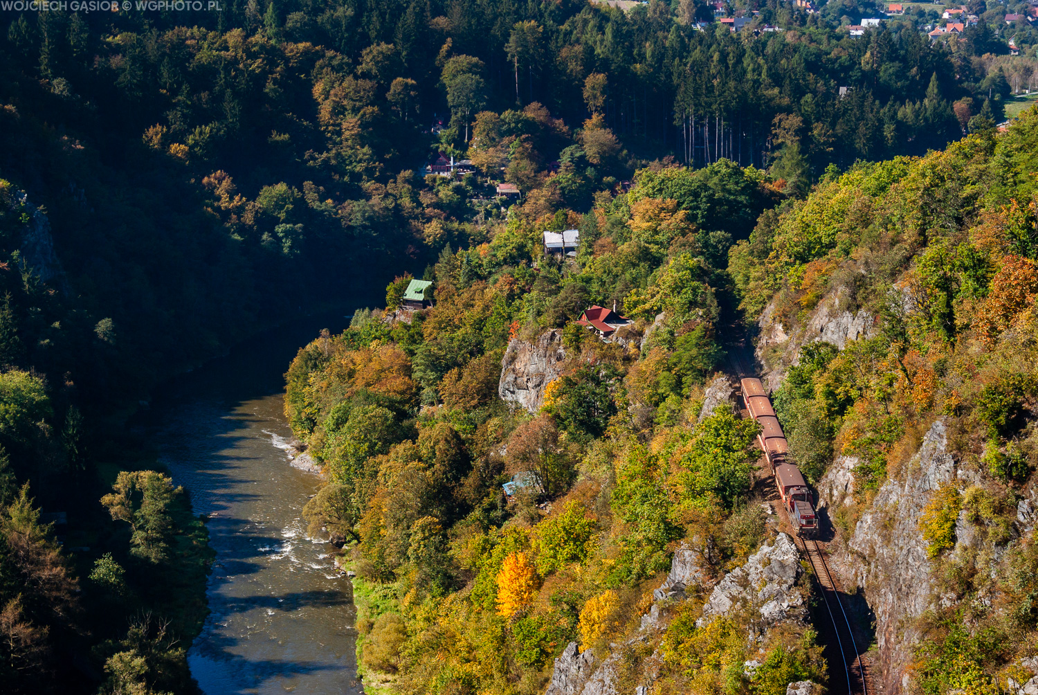 Jesienny kamuflaż nad Sazawą
