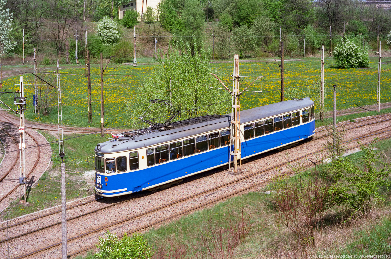 Przepołowiony