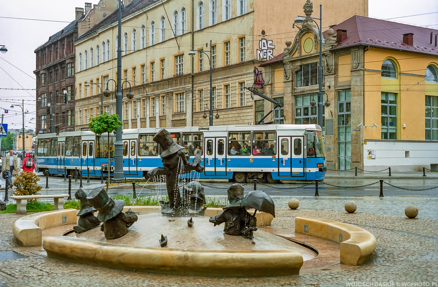 Krasnale wodne