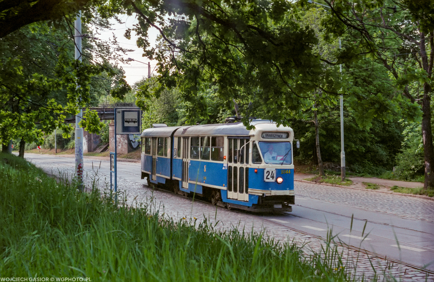 Bujna zieleń
