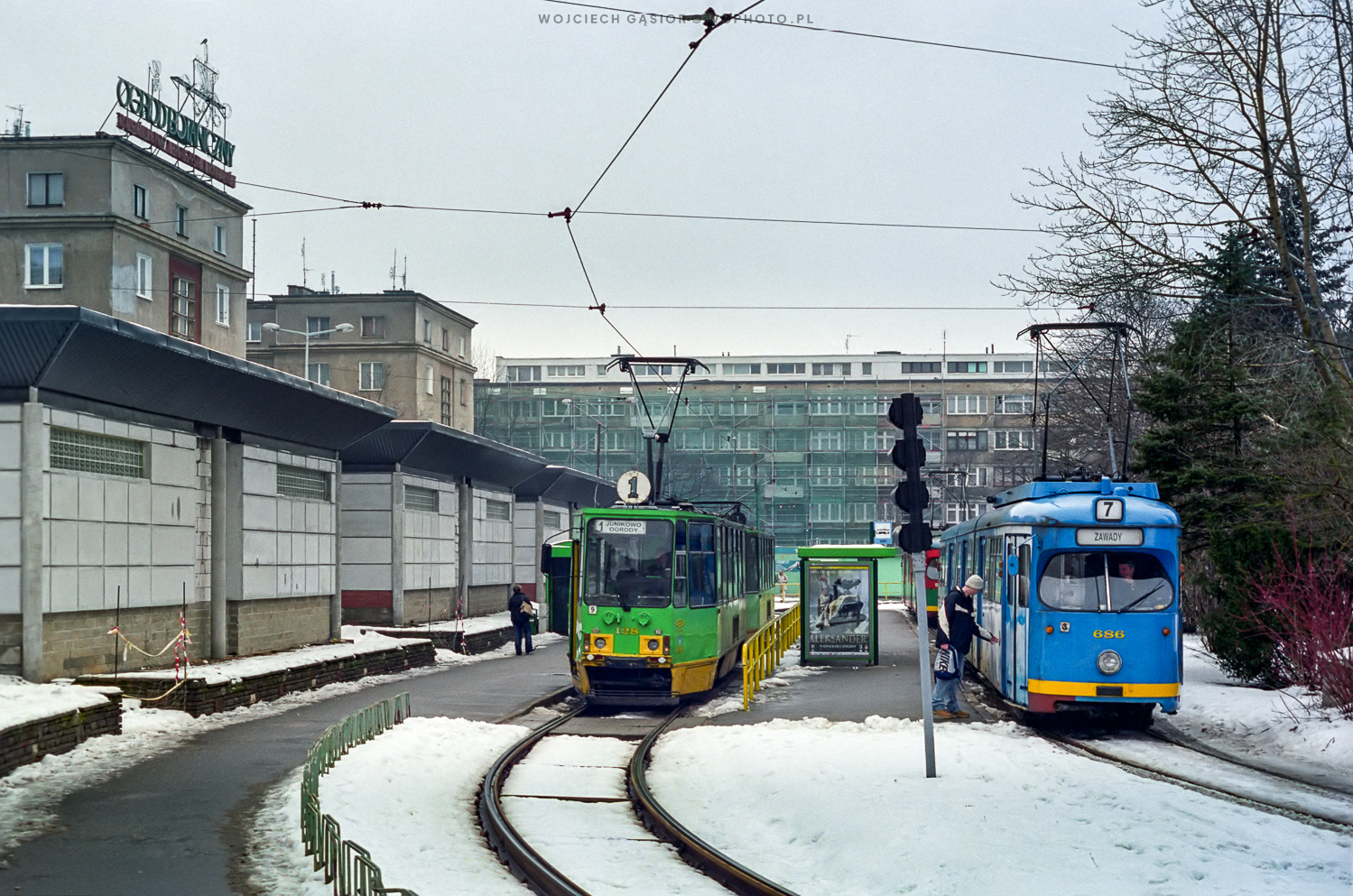 Białe Ogrody