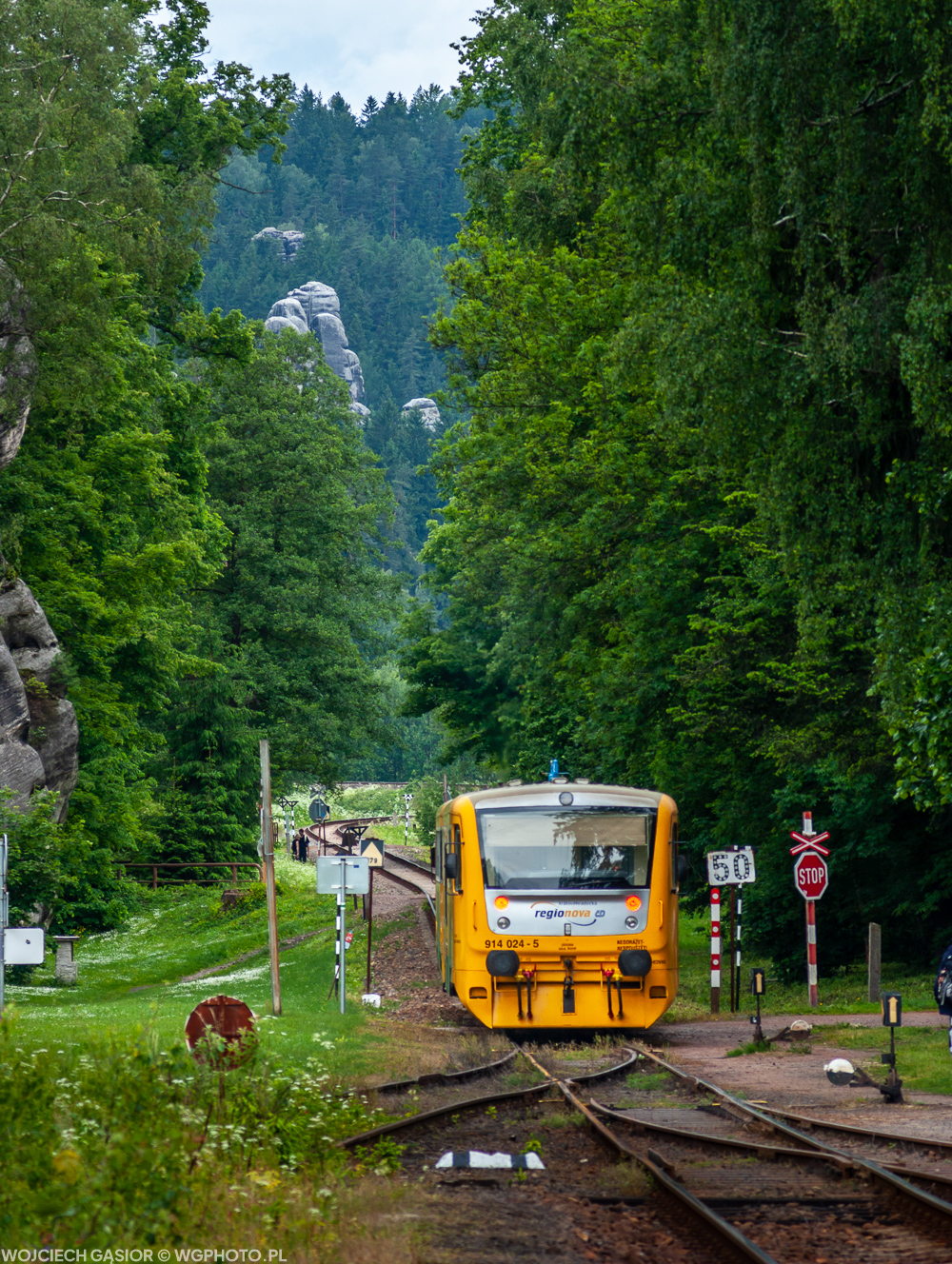 Na wysiadanego