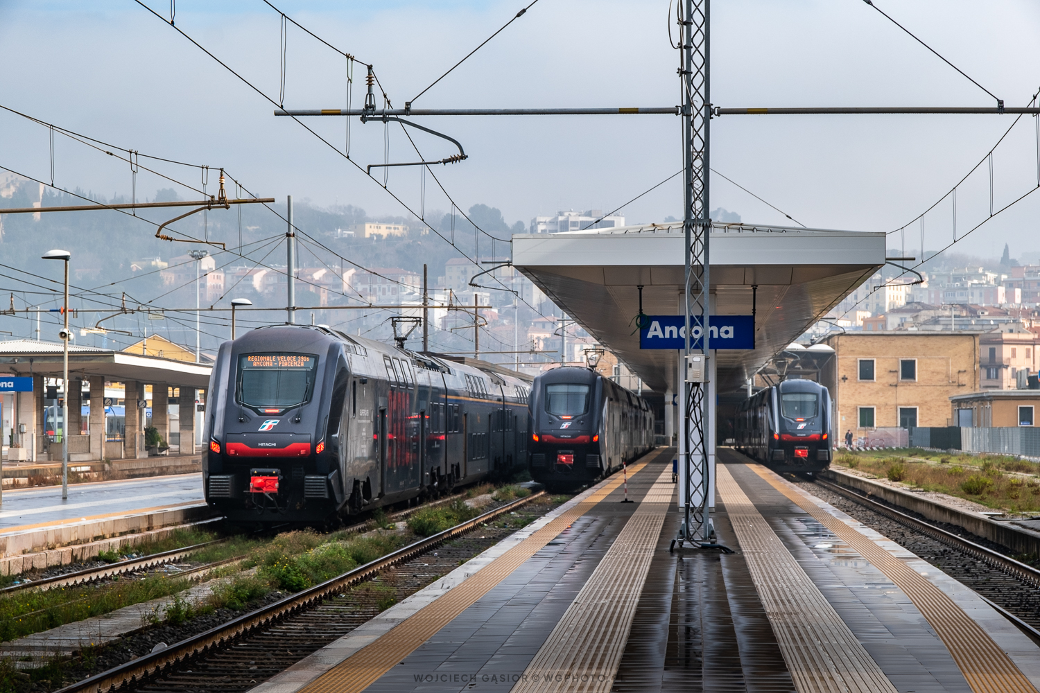 Ancona w czerni