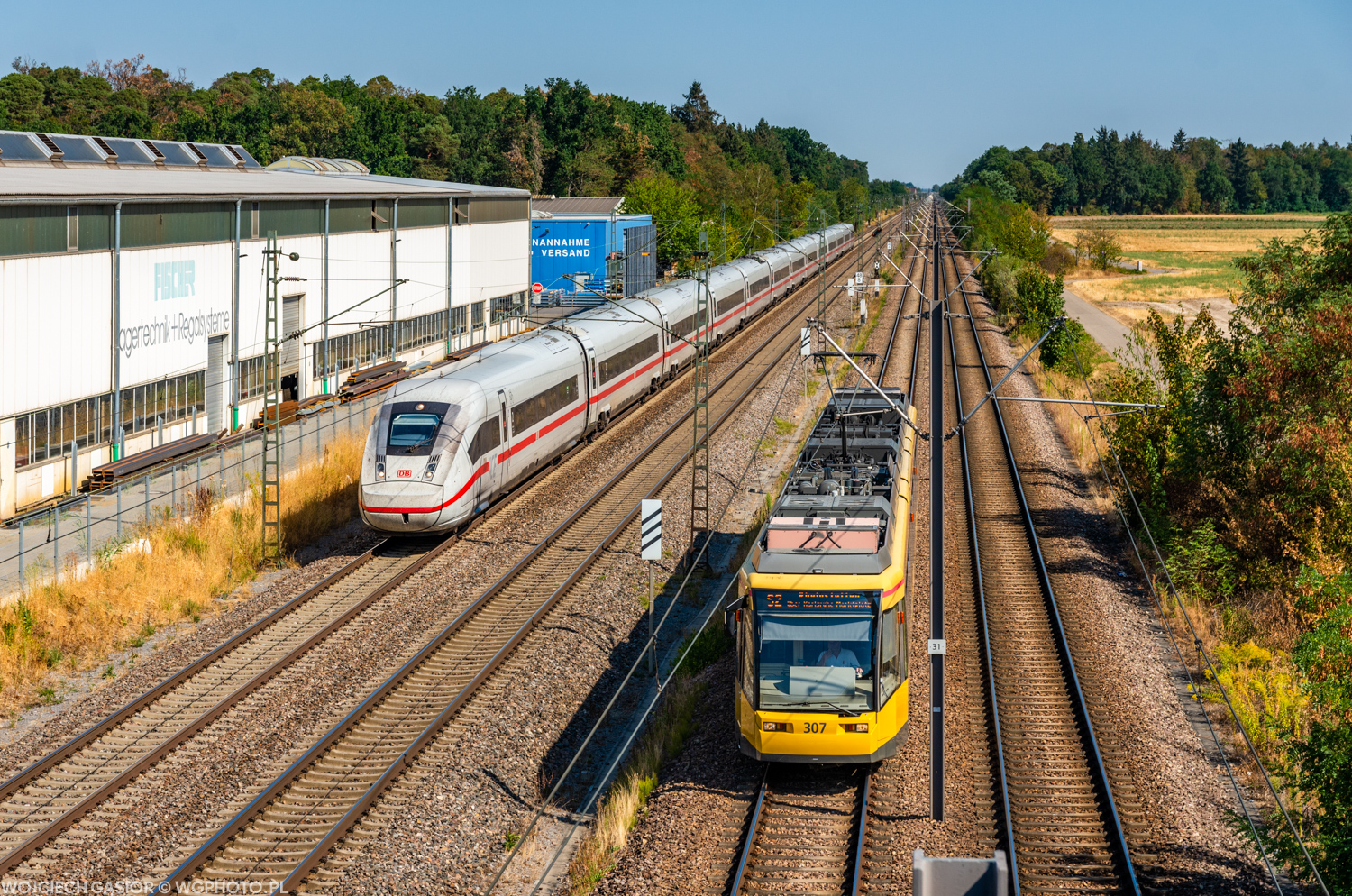 Wyścigi