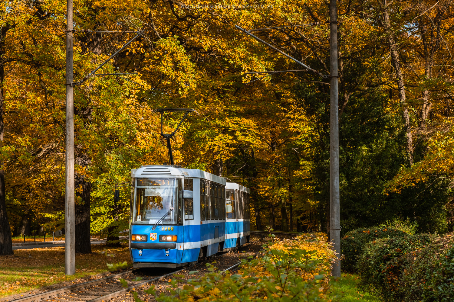 Pięknie jesiennie