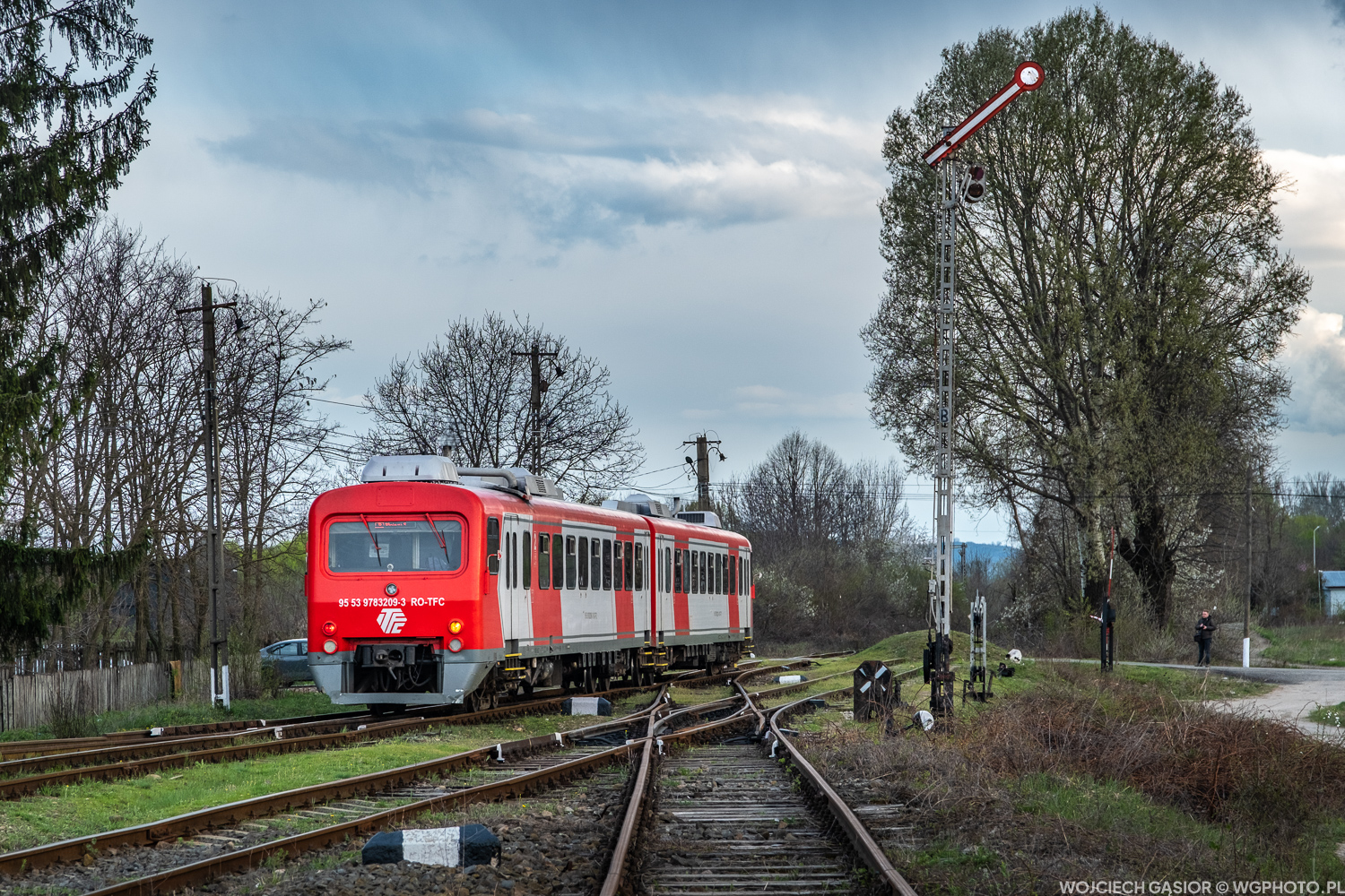 Gonionemu pociągowi w oczy się nie patrzy