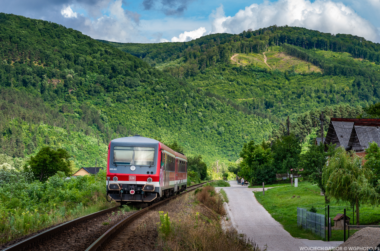 Țicău