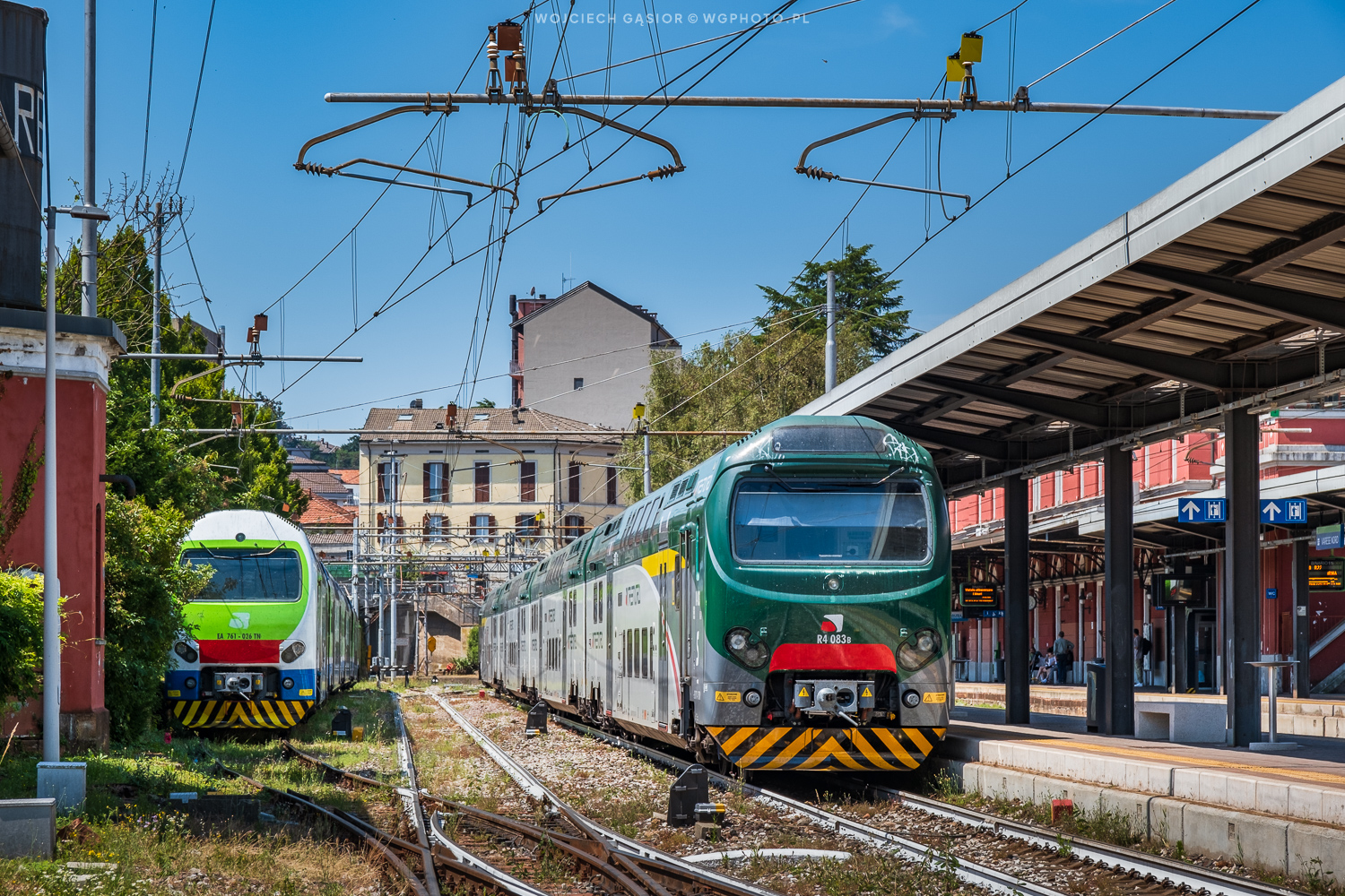 Porównanie kuzynów